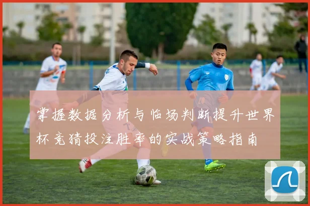 掌握数据分析与临场判断提升世界杯竞猜投注胜率的实战策略指南 ⚽
