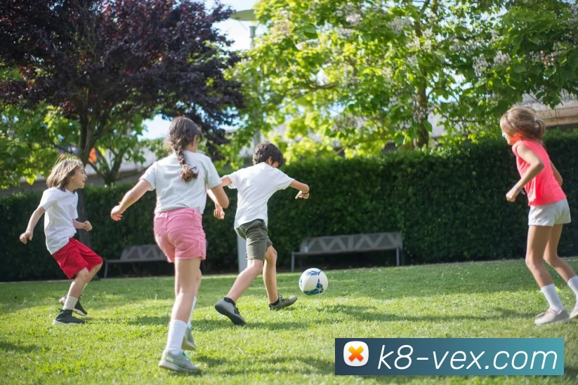 凯发娱乐平台展示图